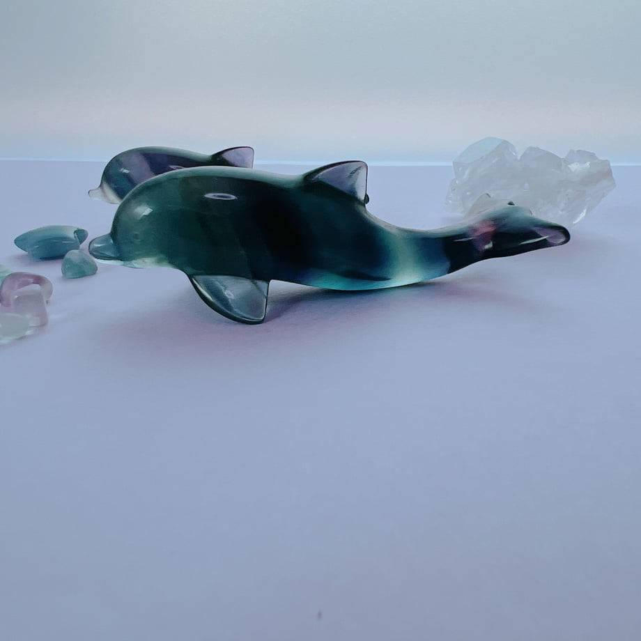 62c8cddda74e3356ce491674