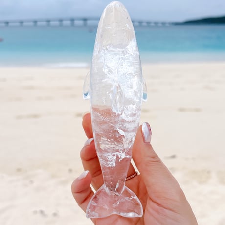 ピュアレイ　オルカ