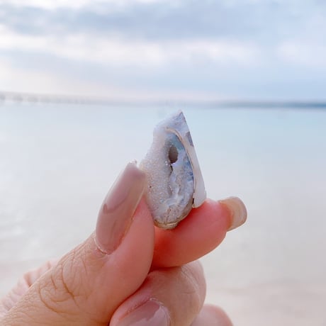 Jem shell（E）