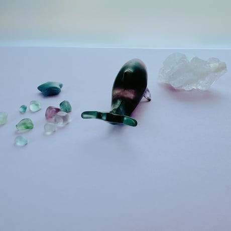 pure♡イルカ①