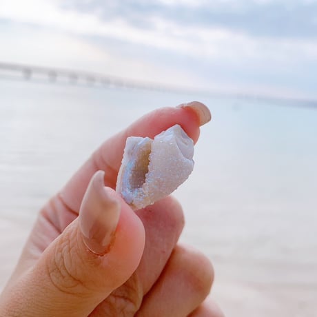 Jem  shell（C）