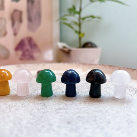 cakraきのこ8点set