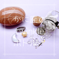 かに座のtwinkleボトル🪄✨✨