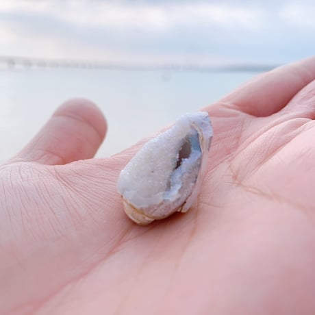 Jem shell（E）