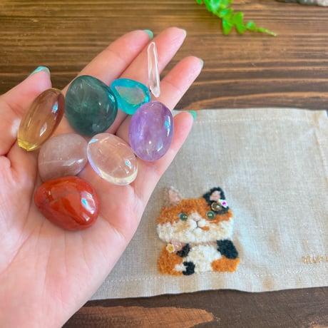 magical chakra CAT（M）