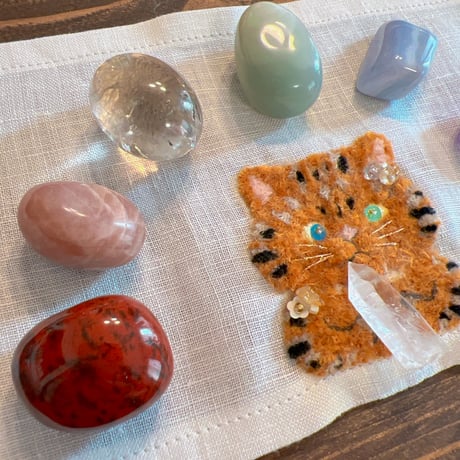 magical chakra CAT（F）