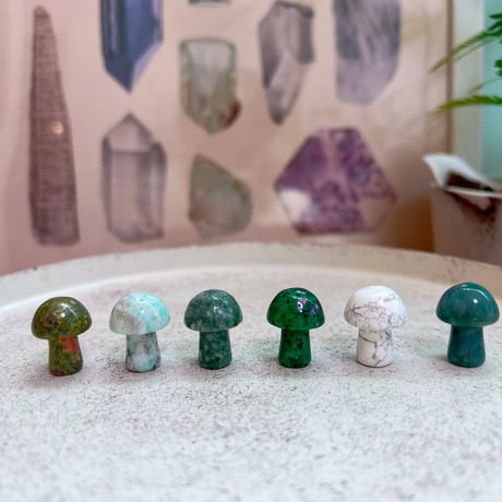 luckyきのこ6点set