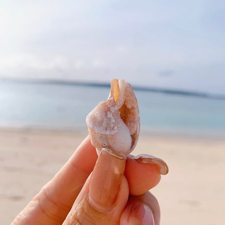 Jem shell （D）