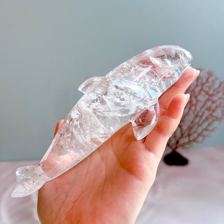 Pure Ray orca | crystal shop mira