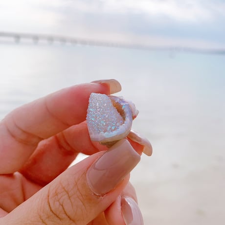 Jem shell（G）
