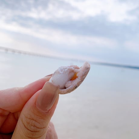 Jem shell （D）