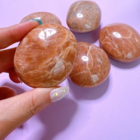 かに座のtwinkleボトル🪄✨✨