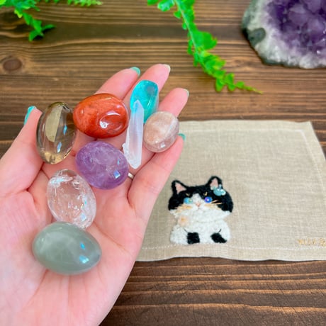 magical chakra CAT（N）