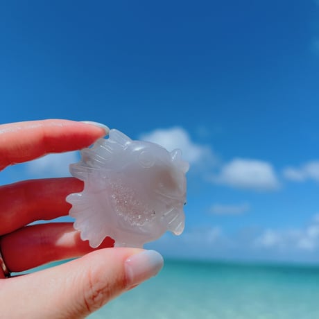 fish♩ドゥルージーアゲート