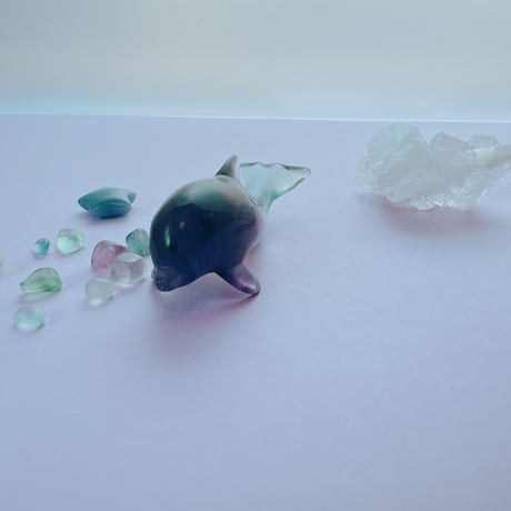 pure♡イルカ①