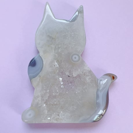 ざくねこさん