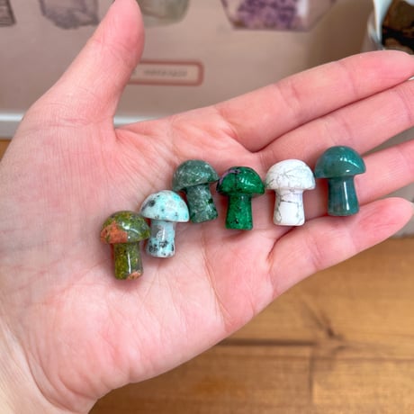 luckyきのこ6点set