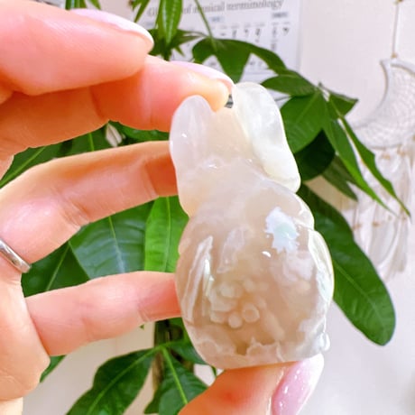 あなただけのともだちぞうさん