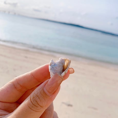 Jem shell（H）