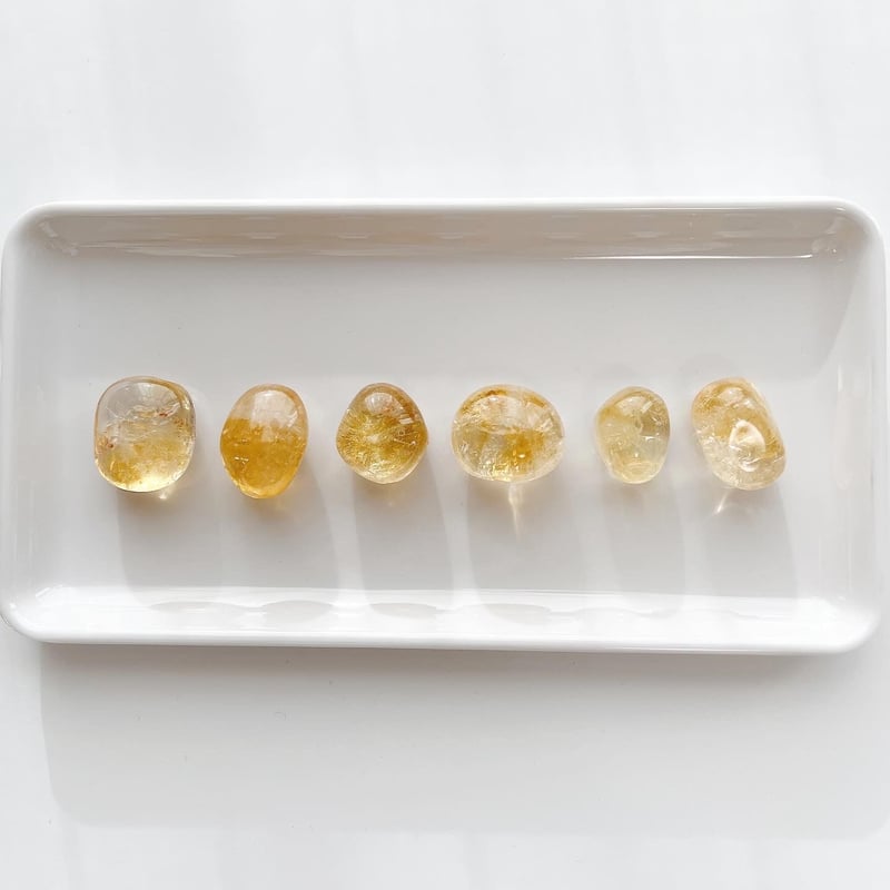 トリアイナ グレートオーシャン シークレット 各3枚 ティールグリーンオーガンジーゴールドグリッター総柄ドレス