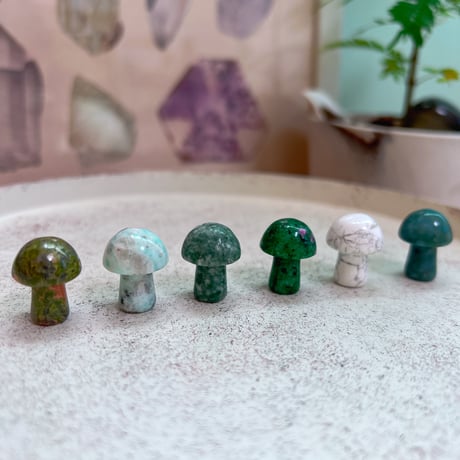 luckyきのこ6点set