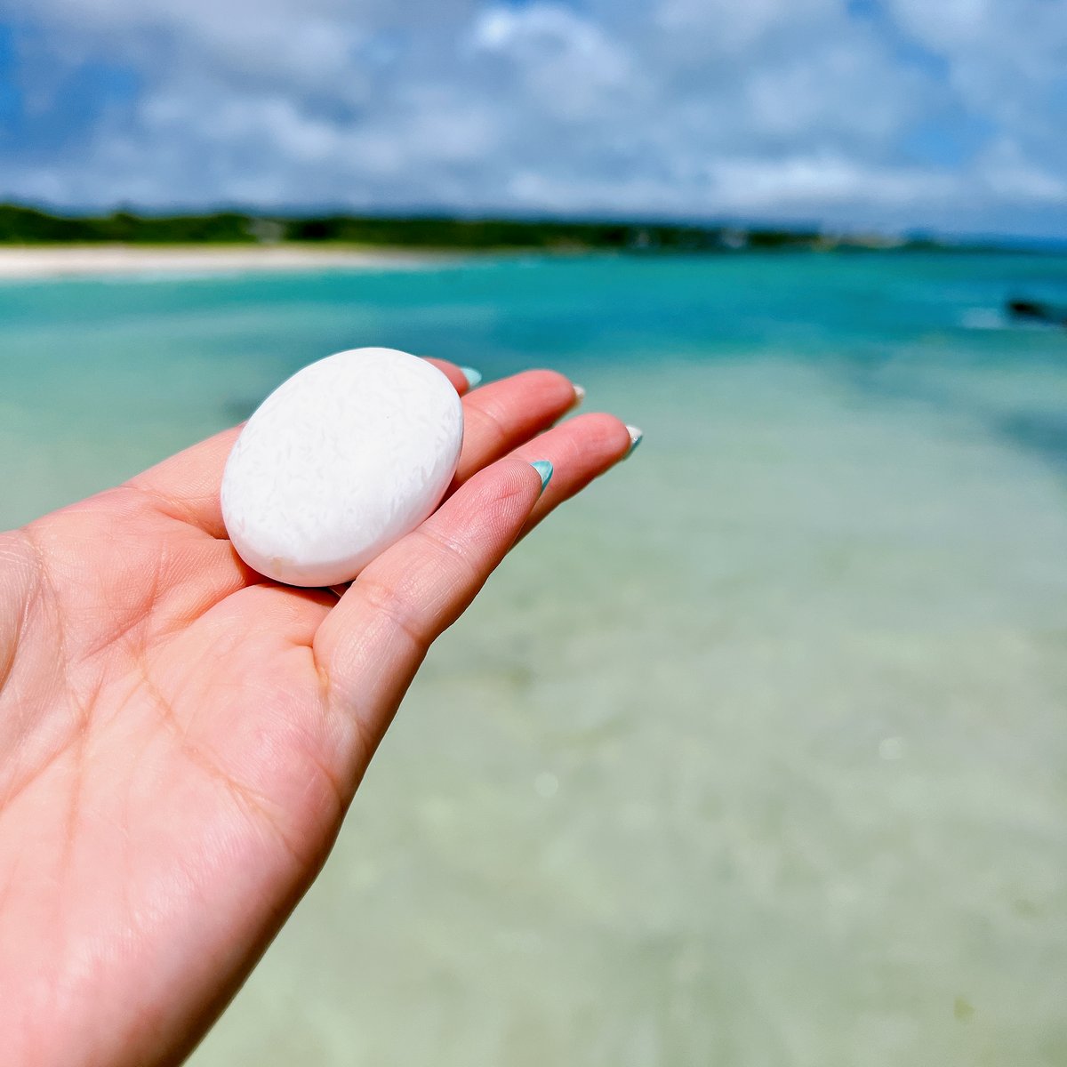 スコレサイト | crystal shop mira