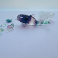pure♡イルカ①