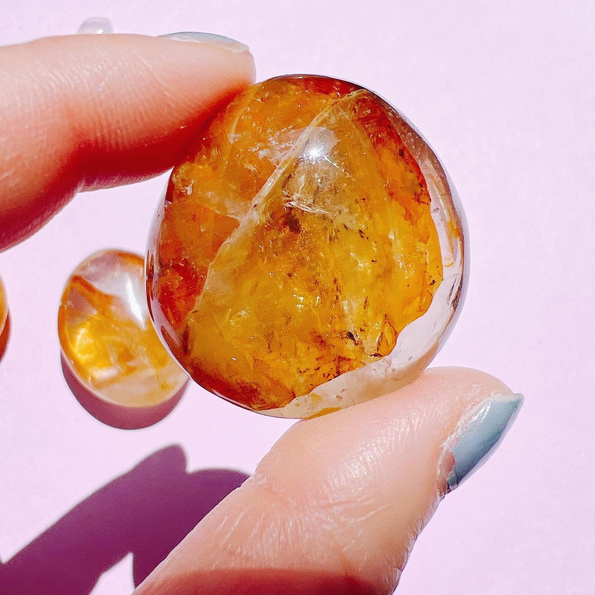 ゴールデンヒーラー fit=scale-down,w=1200