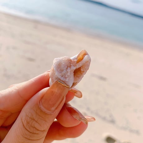 Jem shell （D）