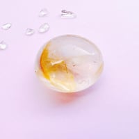 ゴールデンヒーラー　パームストーン