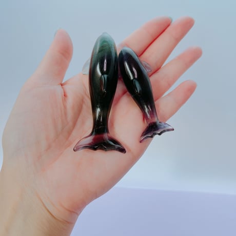 ピュア♡イルカ　Lサイズ