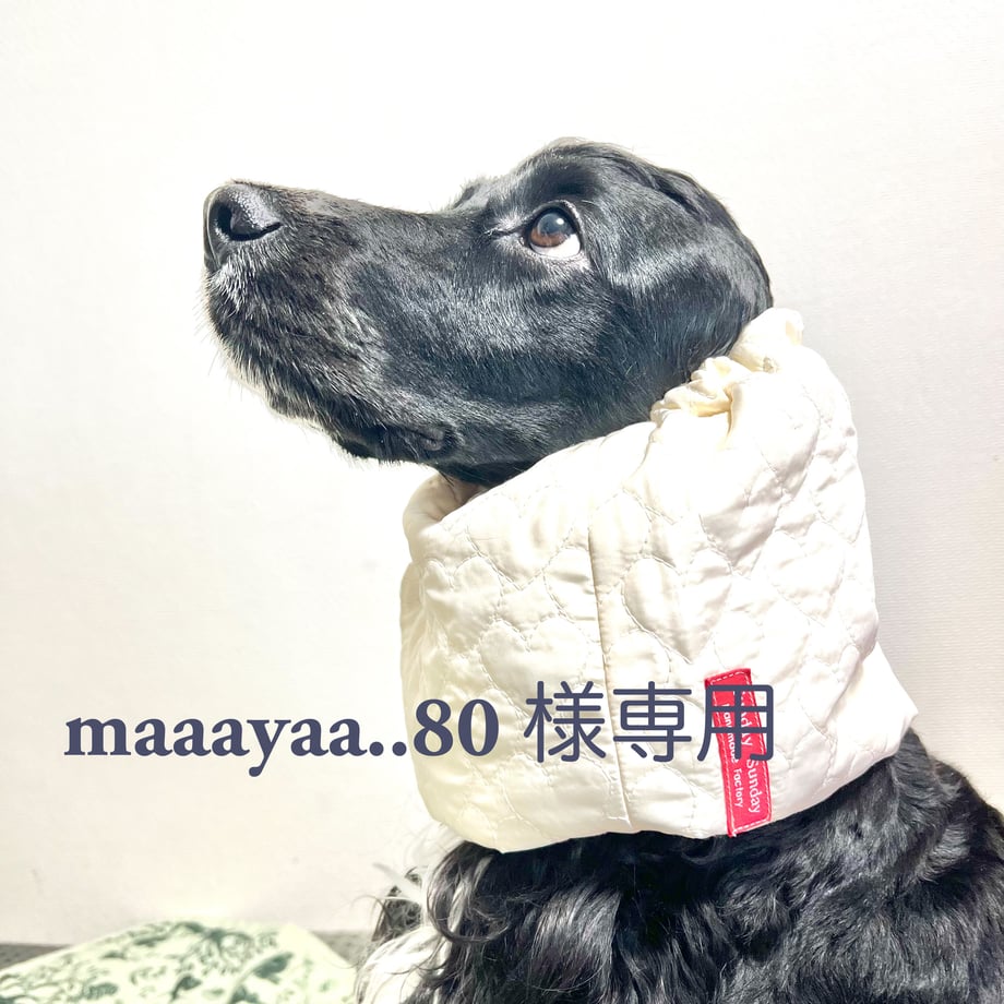 67ab10ca9cdd85309dca30fc