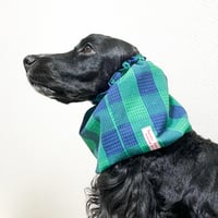 中型犬用スヌード| グリーンとネイビーのチェック