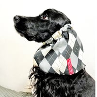 中型犬用スヌード|  グレーベースのアーガイルプリント