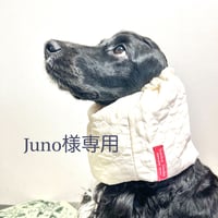 【juno様専用】中型犬用スヌード|ハートステッチのキルティング