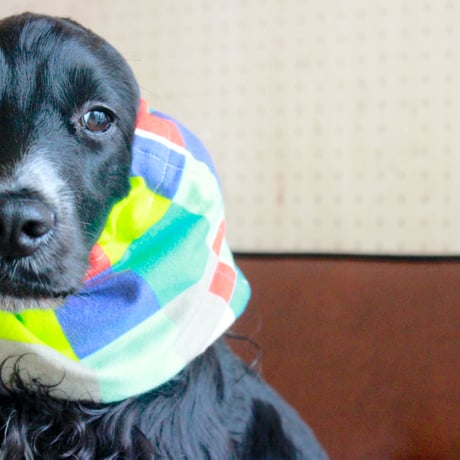 中型犬用スヌード| コットンネル素材のカラフルタイルプリント