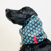 中型犬用スヌード| ブラックとエメラルドグリーンの変形ドット柄