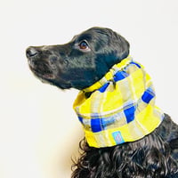 中型犬用スヌード| コットンボイルのイエローチェック
