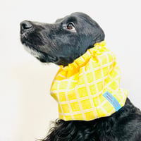 中型犬用スヌード| 三河木綿のミモザ色のスヌード