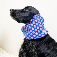 中型犬用スヌード| ロイヤルブルーの変形ドット柄