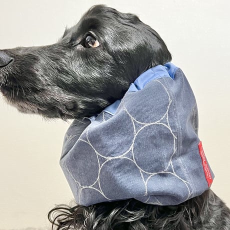 中型犬用スヌード|ブルーグレーのコーデュロイ