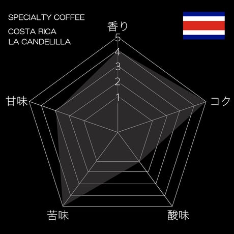 【スペシャルティコーヒー 】 【深煎り】 コスタリカ ラ・カンデリージャ ダークチョコレート ウォッシュド 袋