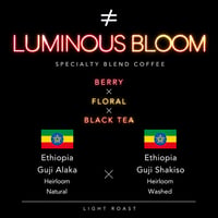 【浅煎り】 Luminous Bloom ルミナスブルーム Ethiopia Guji Alaka Shakiso Blend