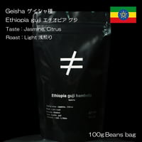 【エチオピア】 【ゲイシャ】 Ethiopia Guji Hambela Geisha Washed 浅煎り