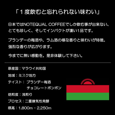 ドリップバッグ 【日本当店限定販売】【ゲイシャ】 MALAWI MISUKU ラウイ ミスク ダブルファーメンテーション