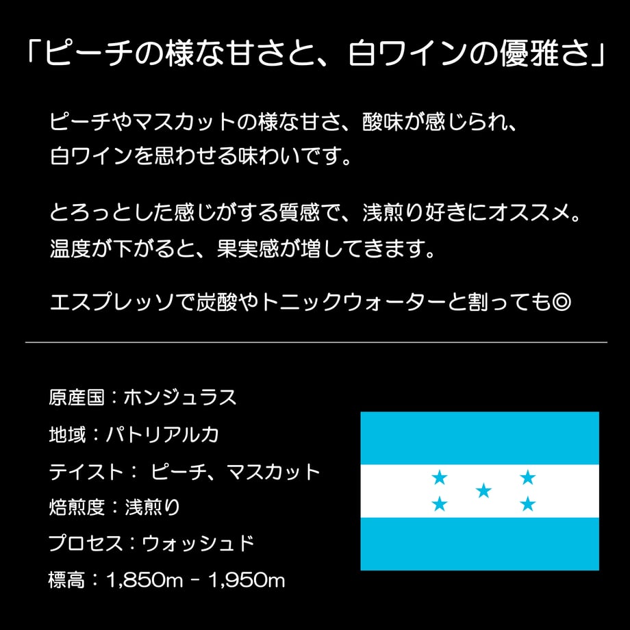 67bf0848ad6dc106bd534feb