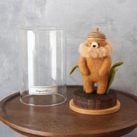 ドングリクマ