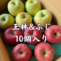 【予約限定】青森県産りんご「王林＆サンふじ」10個入り