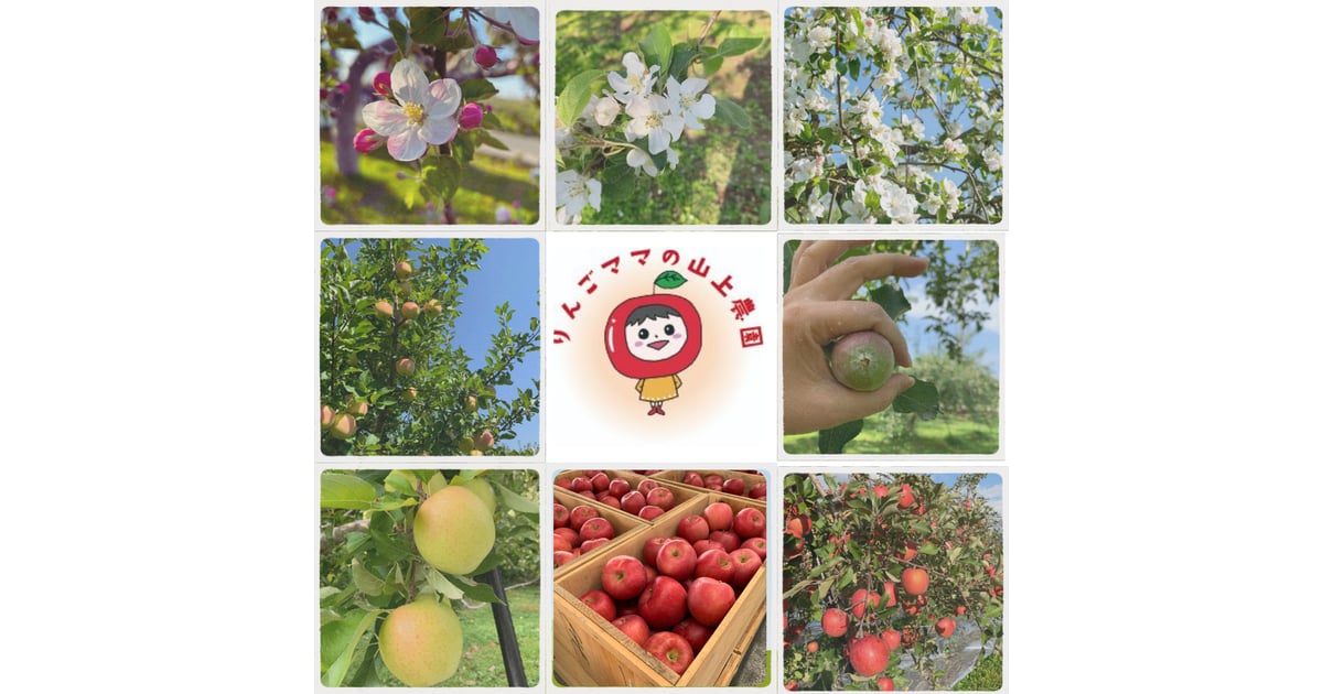 りんごママの山上農園