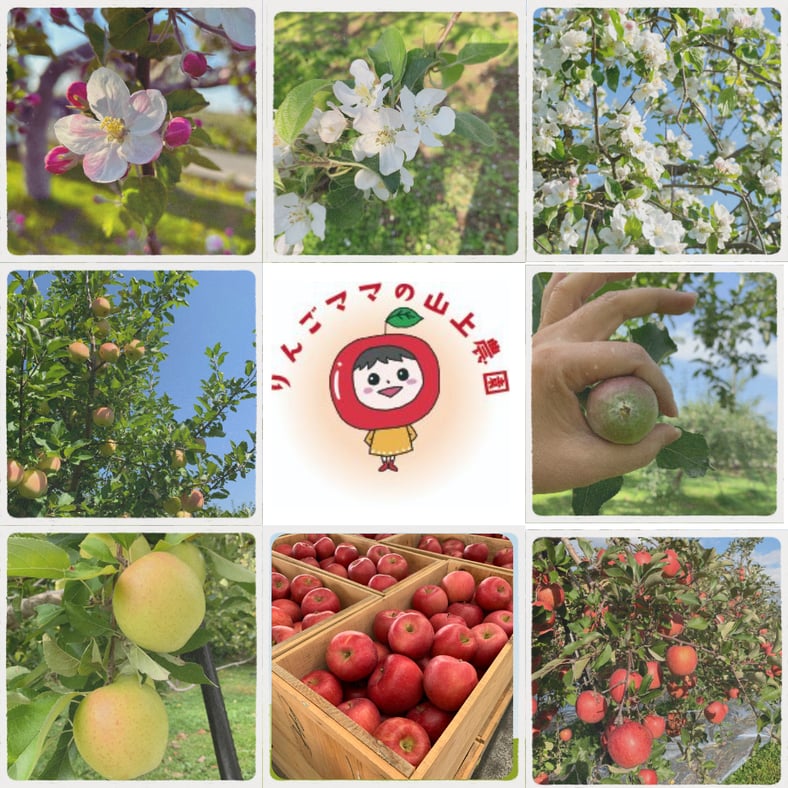 りんごママの山上農園